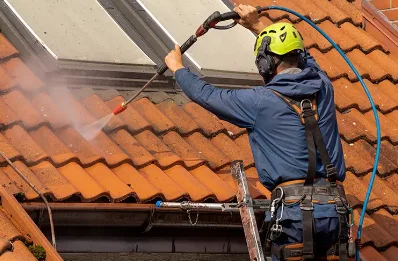 Démoussage et hydrofuge de toiture à Roz-Landrieux
